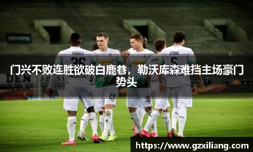 门兴不败连胜欲破白鹿巷，勒沃库森难挡主场豪门势头
