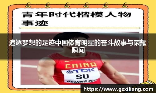 追逐梦想的足迹中国体育明星的奋斗故事与荣耀瞬间