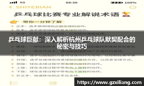 乒乓球巨献：深入解析杭州乒乓球队默契配合的秘密与技巧