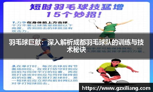 羽毛球巨献：深入解析成都羽毛球队的训练与技术秘诀