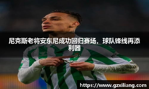 尼克斯老将安东尼成功回归赛场，球队锋线再添利器