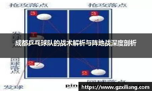 成都乒乓球队的战术解析与阵地战深度剖析