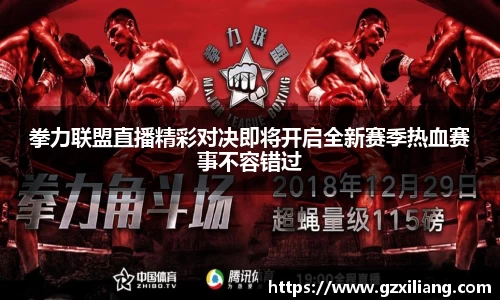 拳力联盟直播精彩对决即将开启全新赛季热血赛事不容错过