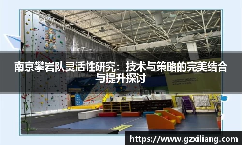 南京攀岩队灵活性研究：技术与策略的完美结合与提升探讨