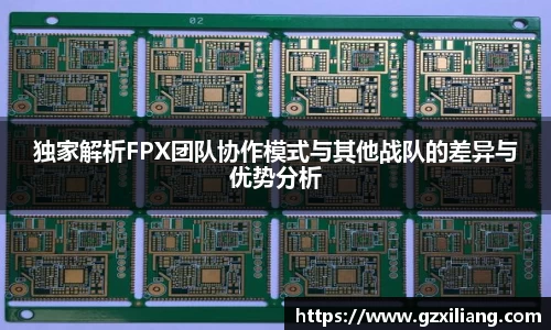 独家解析FPX团队协作模式与其他战队的差异与优势分析
