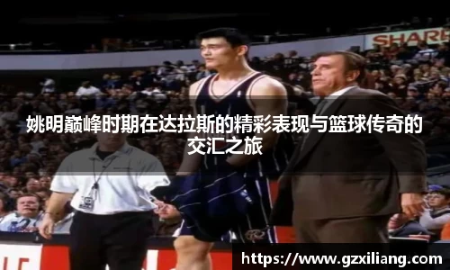 姚明巅峰时期在达拉斯的精彩表现与篮球传奇的交汇之旅