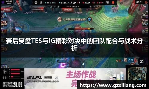 赛后复盘TES与IG精彩对决中的团队配合与战术分析