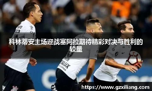 韦德体育