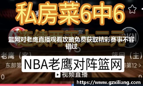 篮网对老鹰直播观看攻略免费获取精彩赛事不容错过