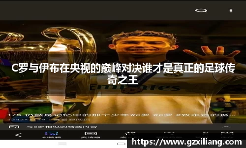 韦德体育