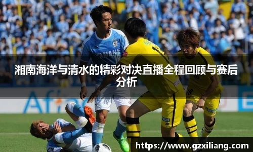 韦德体育