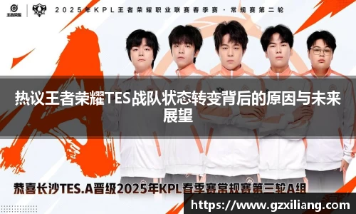 热议王者荣耀TES战队状态转变背后的原因与未来展望